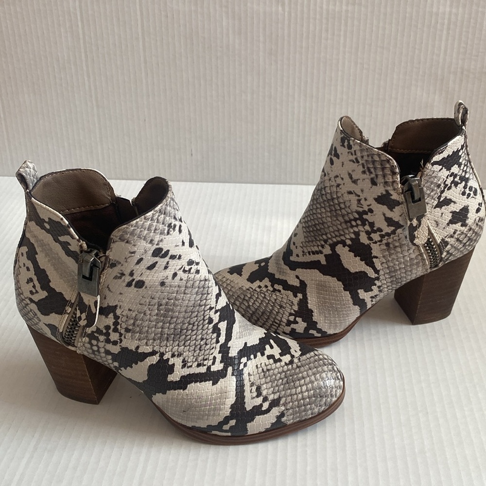 Women's Snake-Print Ankle Booties in Cream and Black